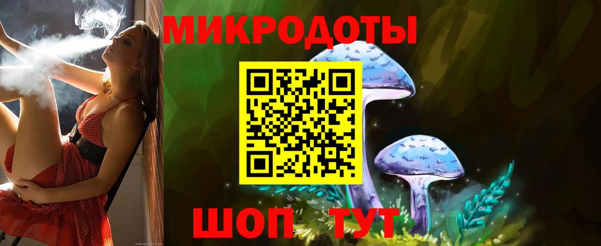 Галлюциногенные грибы ЛСД Губаха