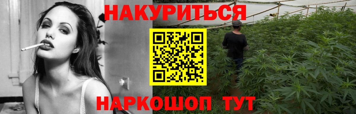Шишки марихуана марихуана  Вход с VPN  Губаха  МАРИХУАНА OG Kush  Каннабис MAZAR  Бошки Шишки Bruce Banner 
